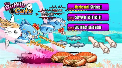survive mola mola all deaths|Battle Cats Mola Mola All Stages (300 Million Dead .